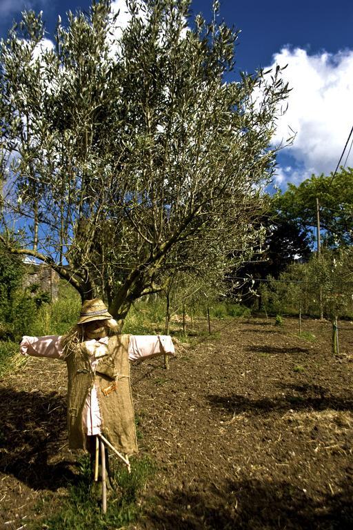 Vila Agriturismo Satanca Arbus Exteriér fotografie